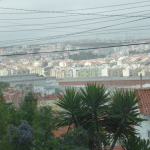 P1120764-w640_h480
